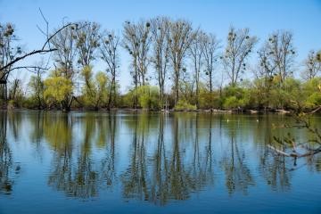 Rheinauen bei Rheinstetten; Foto: Fotofreunde Rheinstetten Rheinauen bei Rheinstetten